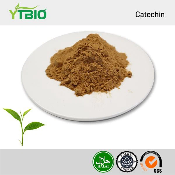 کیٹیچن پاؤڈر